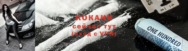 a pvp Каменногорск
