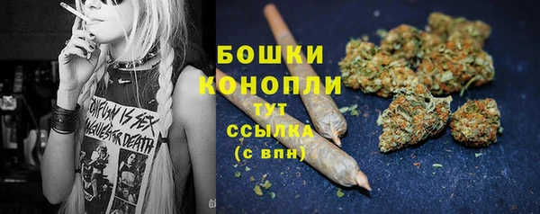 a pvp Каменногорск