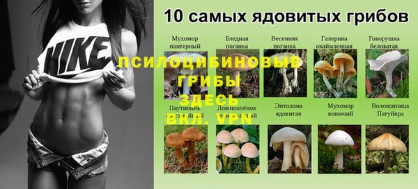 не бодяженный Каменск-Шахтинский