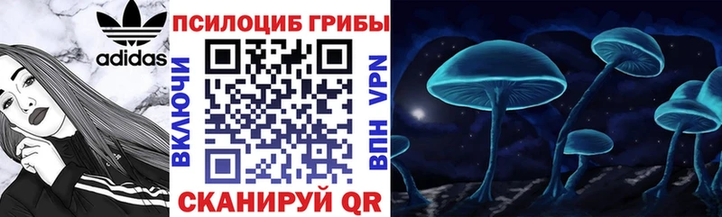 Галлюциногенные грибы ЛСД  Купить закладки  Дмитров 